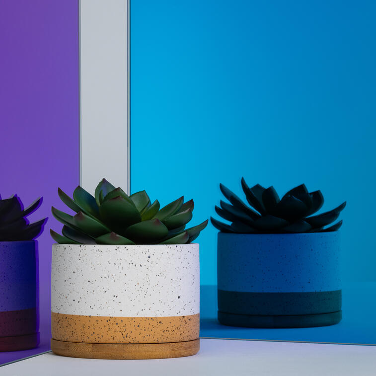 Product photography for GGI Glass